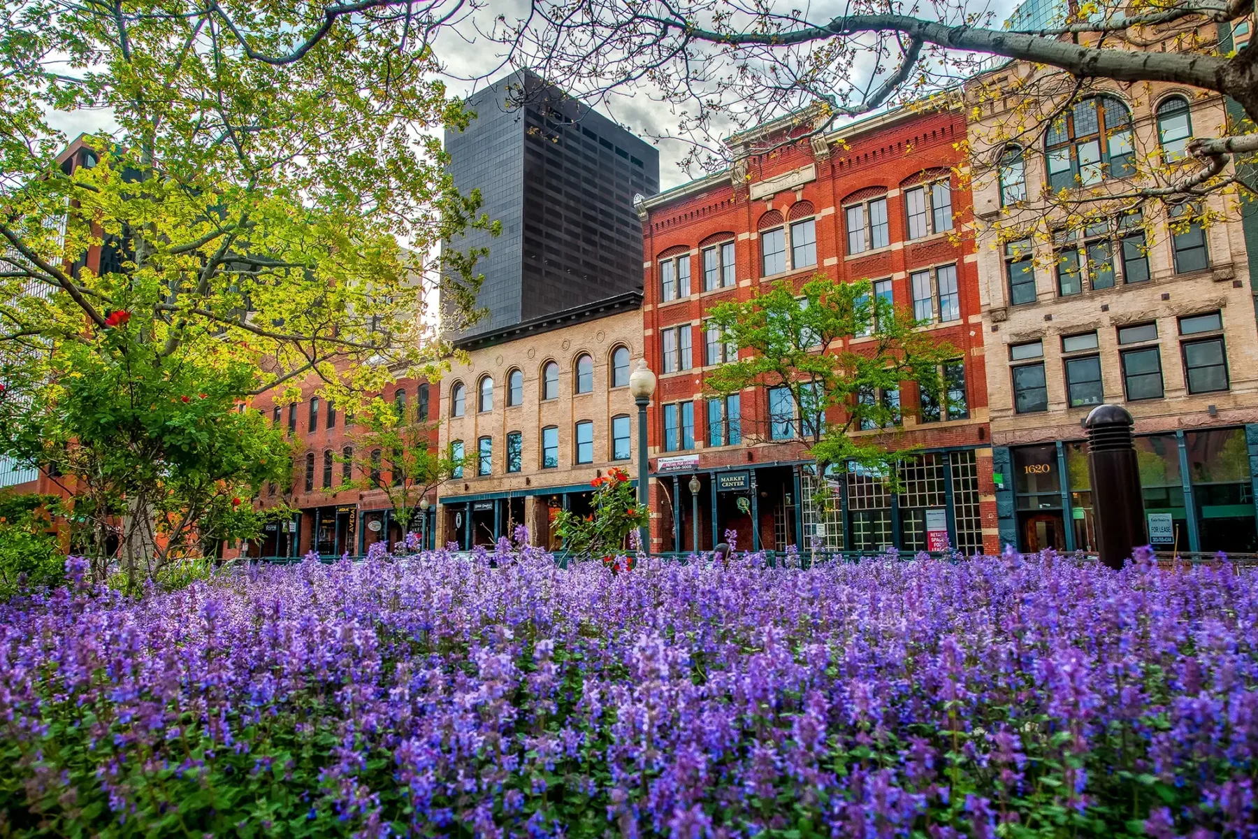 Historic Street with flowers